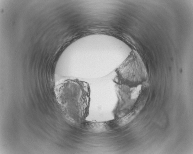 X0000059060377200511041735