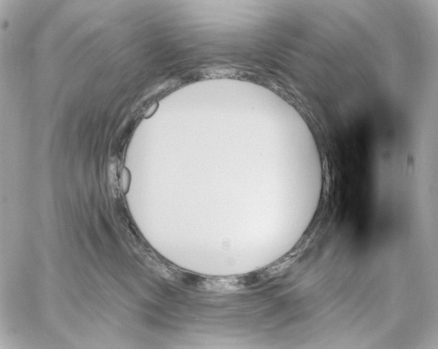 X0000059060378200511041735