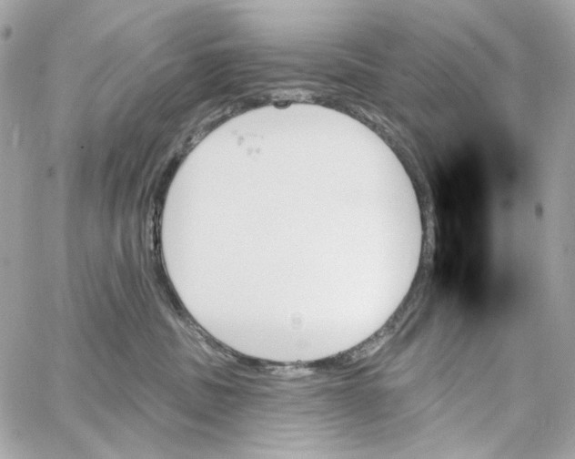 X0000059060379200511041735