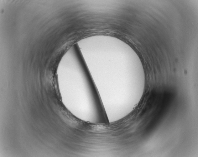 X0000059060380200511041735