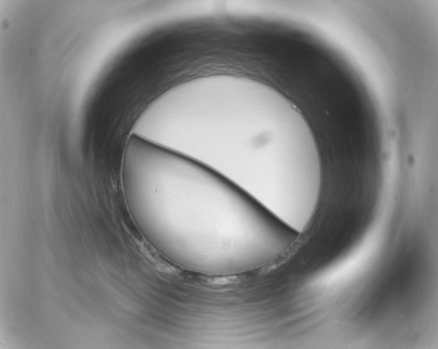 X0000059060382200511041735