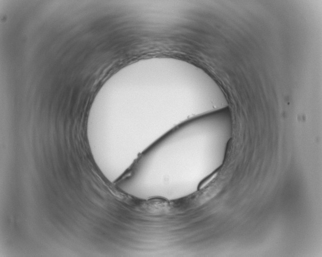 X0000059060384200511041735