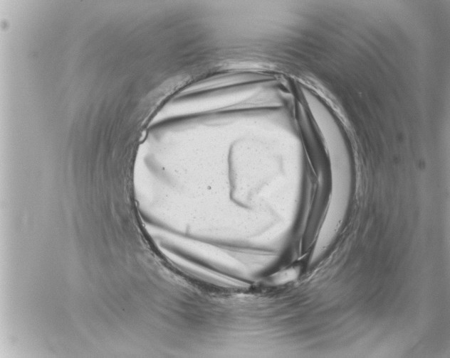 X0000059060385200511041734