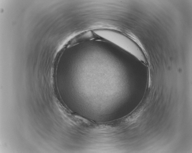 X0000059060387200511041734