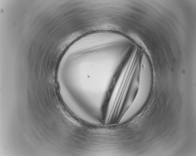 X0000059060389200511041734