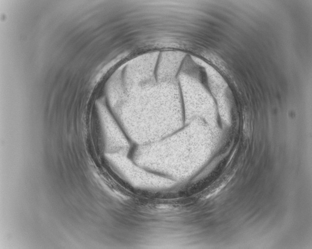 X0000059060390200511041734