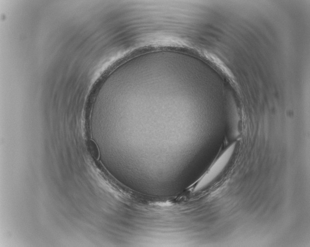 X0000059060391200511041734