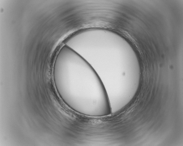 X0000059060392200511041734