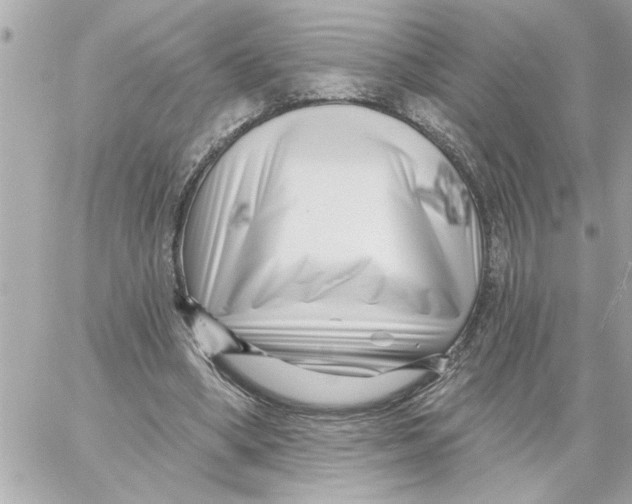 X0000059060394200511041734