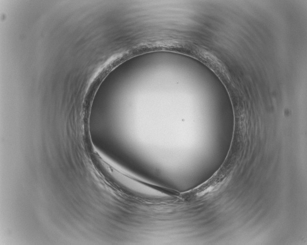 X0000059060395200511041734