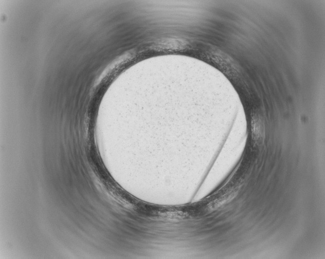 X0000059060396200511041734