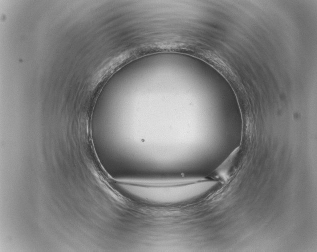 X0000059060397200511041734