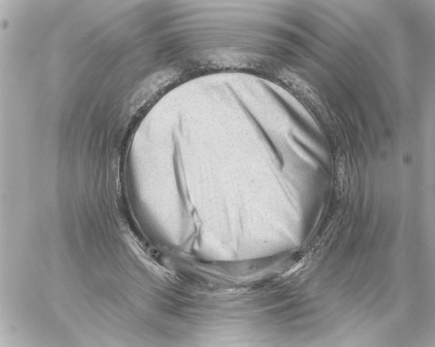 X0000059060398200511041734