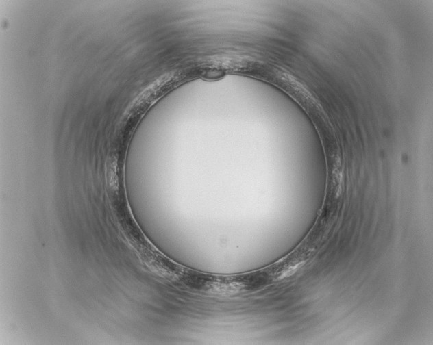 X0000059060403200511041734