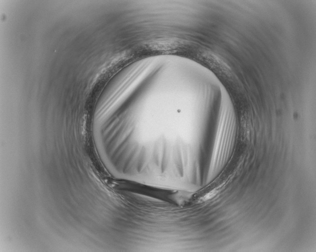 X0000059060404200511041734