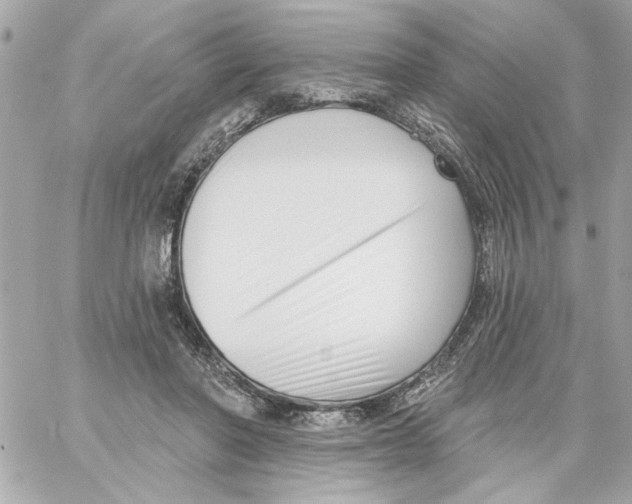 X0000059060406200511041734