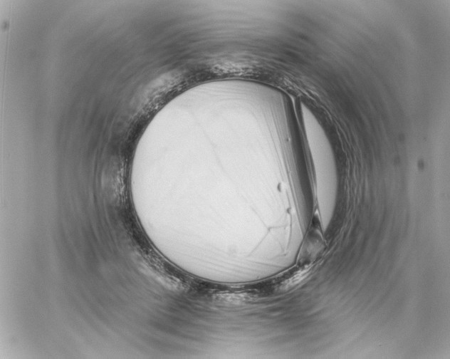 X0000059060408200511041734