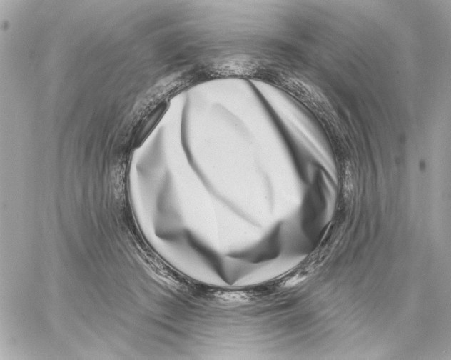 X0000059060409200511041734