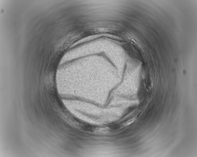 X0000059060410200511041734