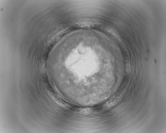 X0000059060411200511041734