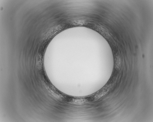 X0000059060414200511041734