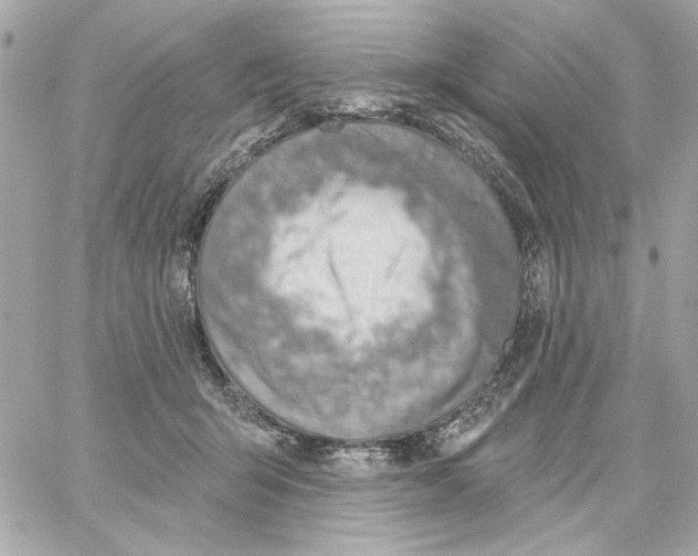 X0000059060415200511041734