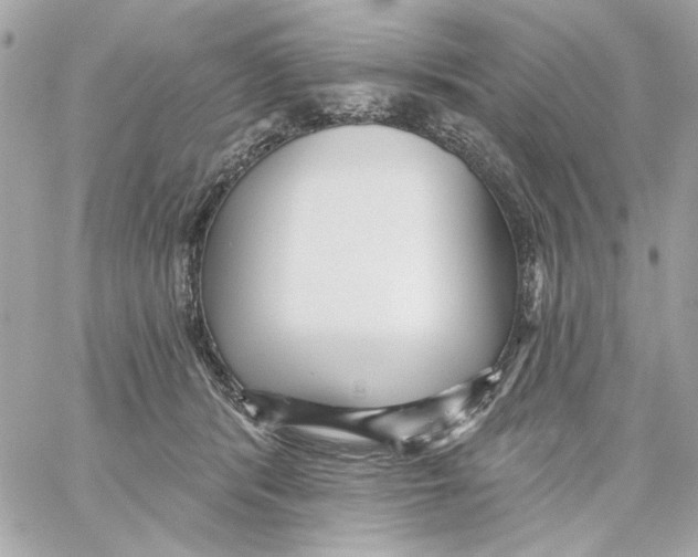 X0000059060416200511041733