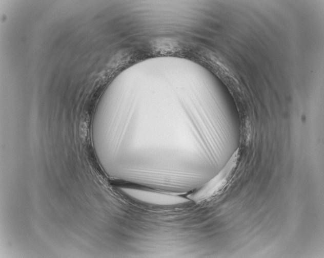 X0000059060417200511041733