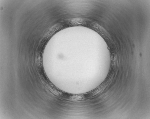 X0000059060418200511041733