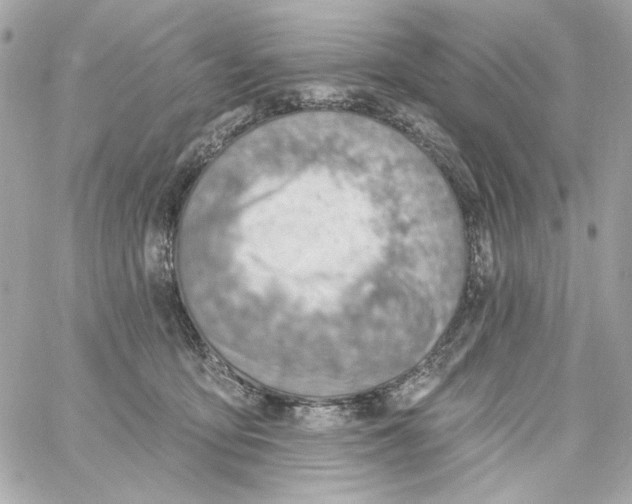 X0000059060419200511041733