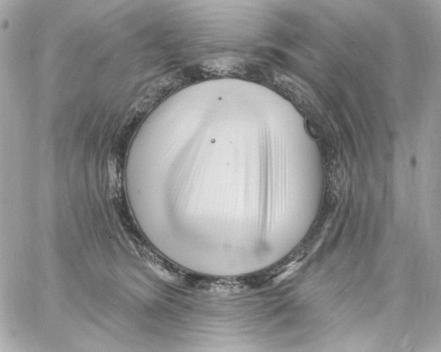 X0000059060420200511041733