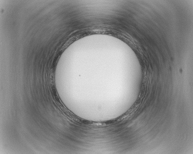 X0000059060421200511041733