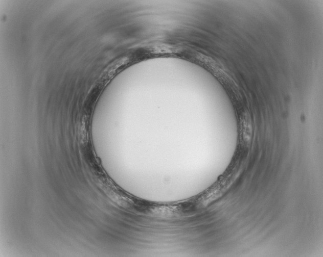 X0000059060422200511041733