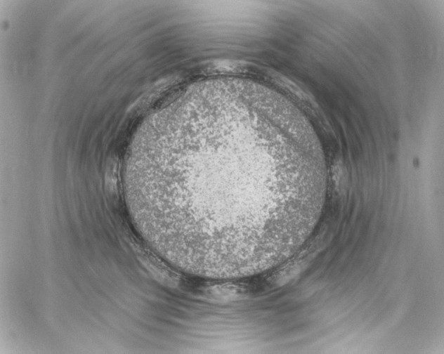 X0000059060423200511041733