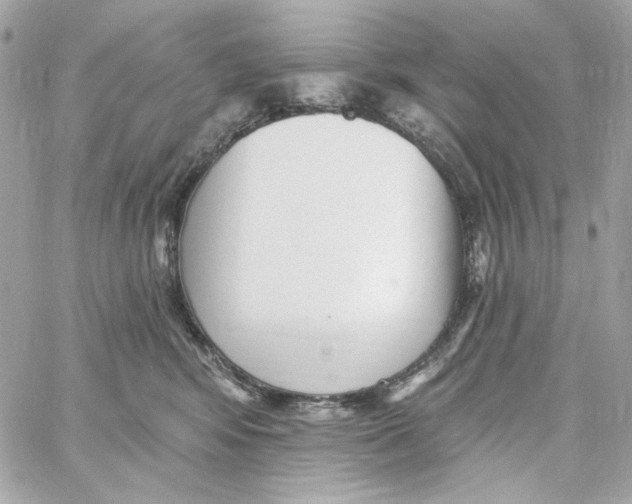 X0000059060424200511041733