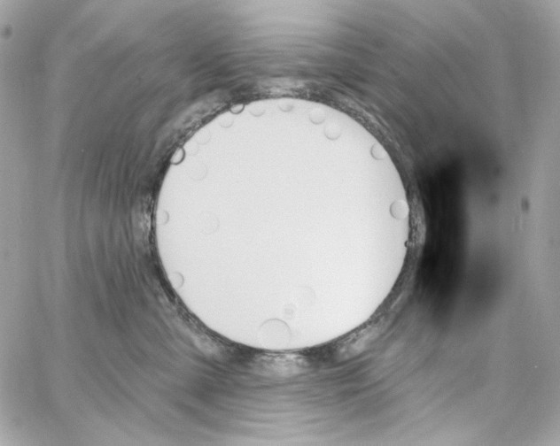 X0000059060427200511041733