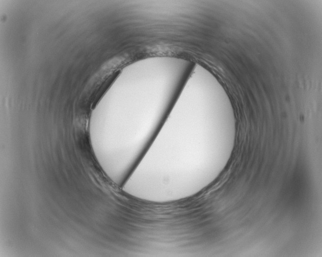 X0000059060429200511041733