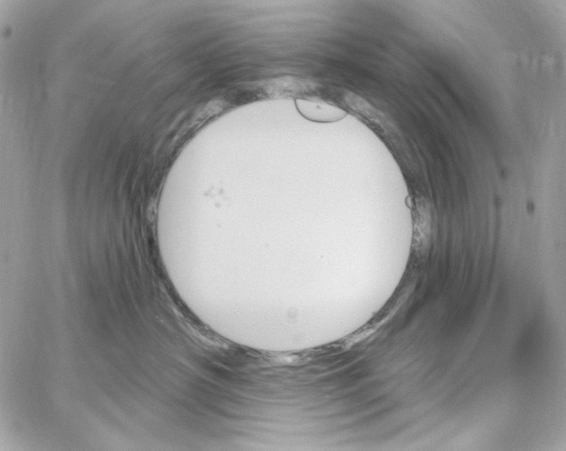 X0000059060430200511041733