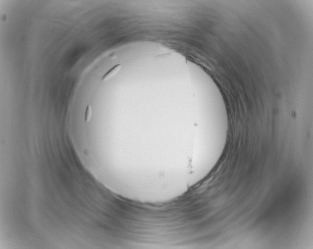 X0000059060431200511041733