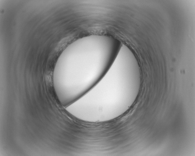 X0000059060432200511041733