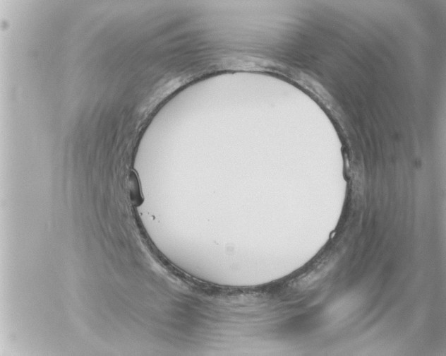 X0000059060433200511041732