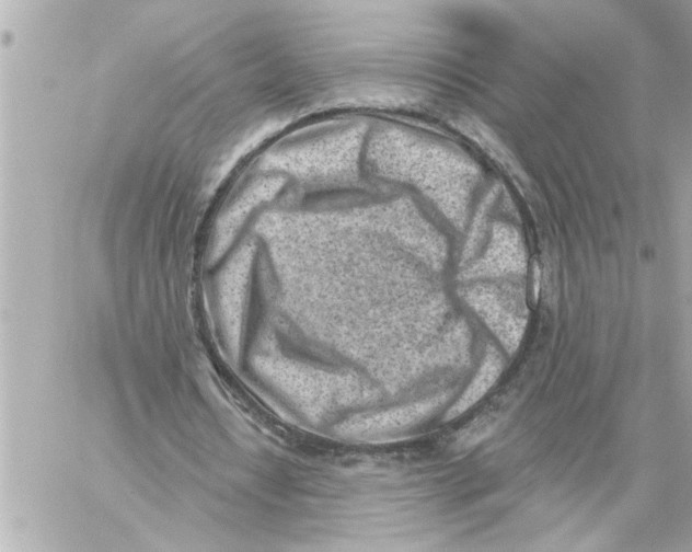 X0000059060434200511041732