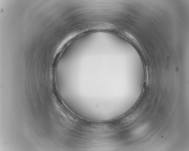 X0000059060435200511041732