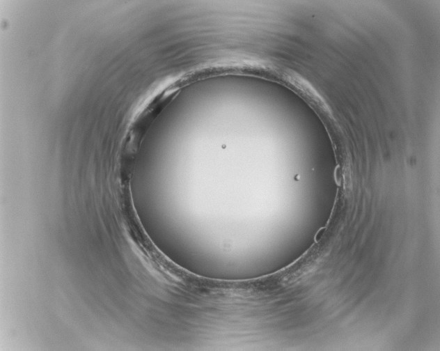 X0000059060436200511041732