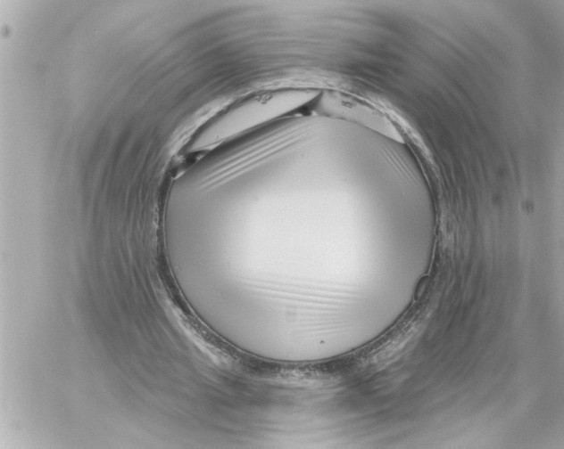 X0000059060437200511041732