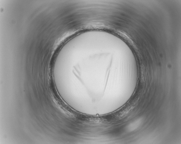 X0000059060439200511041733