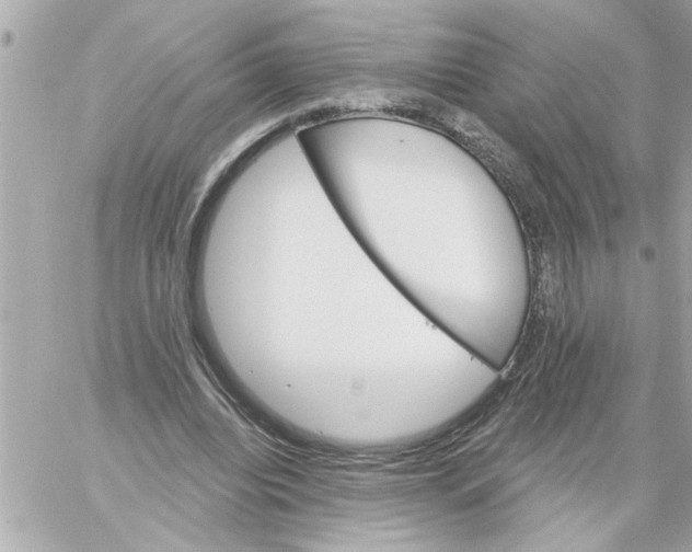 X0000059060440200511041733