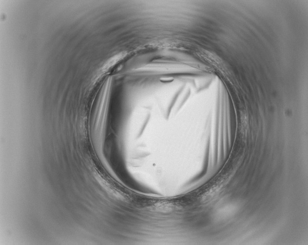 X0000059060441200511041733