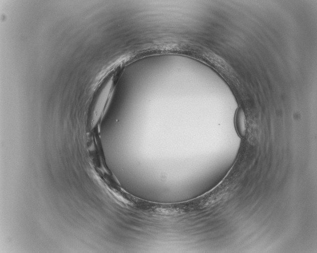 X0000059060442200511041733