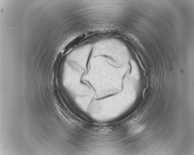 X0000059060443200511041733